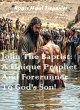 John The Baptist: A Unique Prophet And... - Bild 1