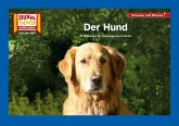 Der Hund / Kamishibai Bildkarten Der Hund / Kamishibai Bildkarten
