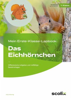 Mein Erste-Klasse-Lapbook: Das Eichhörnchen - Mönning, Petra