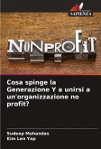 Cosa spinge la Generazione Y a unirsi a un'organizzazione no profit? Cosa spinge la Generazione Y a unirsi a un'organizzazione no profit?