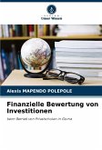 Finanzielle Bewertung von Investitionen