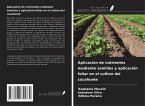 Aplicación de nutrientes mediante semillas y aplicación foliar en el cultivo del cacahuete Aplicación de nutrientes mediante semillas y aplicación foliar en el cultivo del cacahuete