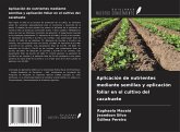 Aplicación de nutrientes mediante semillas y aplicación foliar en el cultivo del cacahuete