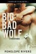 Big Bad Wolf (A Touch of Magic, #1)... - Bild 1