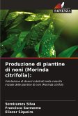 Produzione di piantine di noni (Morinda citrifolia): Produzione di piantine di noni (Morinda citrifolia):