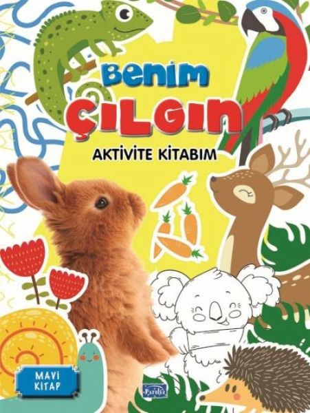 Benim Cilgin Aktivite Kitabim - Mavi Kitap