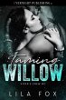Taming Willow (Viper's Crew MC, #4)... - Bild 1