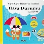 Kipir Kipir Hareketli Kitabim - Hava Durumu