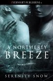 A Northerly Breeze (Windswept, #3) (eBook, ePUB)