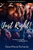 Just Right! (eBook, ePUB) Just Right! (eBook, ePUB)