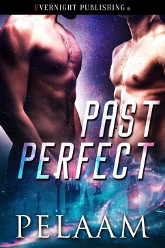 Cover Past Perfect (eBook, ePUB)