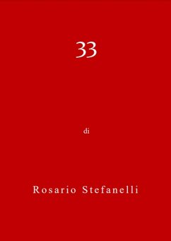 Cover 33 (eBook, ePUB)
