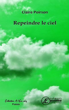 Cover Repeindre le ciel (eBook, ePUB)