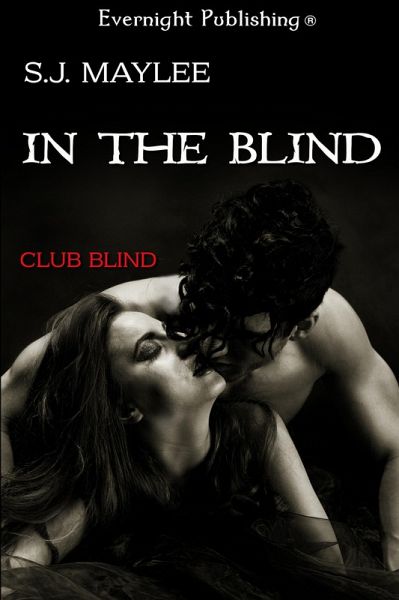 In the Blind (eBook, ePUB)