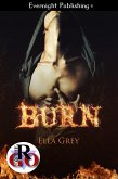 Burn (eBook, ePUB)