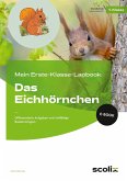 Mein Erste-Klasse-Lapbook: Das Eichhörnchen (eBook, PDF) Mein Erste-Klasse-Lapbook: Das Eichhörnchen (eBook, PDF)