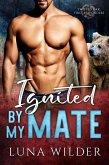 Ignited By My Mate (Twisted Oak Pack: First Responders, #4) (eBook, ePUB) Ignited By My Mate (Twisted Oak Pack: First Responders, #4) (eBook, ePUB)