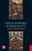 Rutas de incertidumbre (eBook, PDF)
