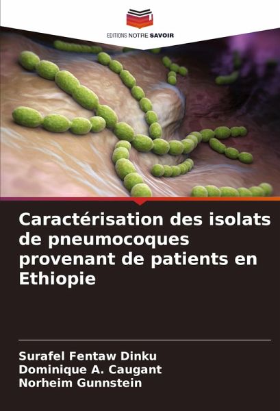 Caractérisation des isolats de pneumocoques provenant de patients en Ethiopie