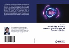 Dark Energy Stability Against Disturbances for Cosmic Inflation