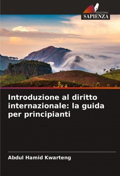 Cover Introduzione al diritto internazionale: la guida per principianti