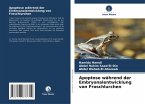 Apoptose während der Embryonalentwicklung von Froschlurchen