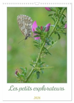 Les petits explorateurs (Calendrier mural 2026 DIN A3 horizontal), CALVENDO calendrier mensuel Les petits explorateurs (Calendrier mural 2026 DIN A3 horizontal), CALVENDO calendrier mensuel