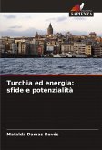 Turchia ed energia: sfide e potenzialità