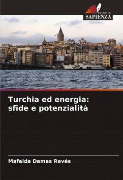 Cover Turchia ed energia: sfide e potenzialità