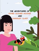 THE ADVENTURES OF OSHEE GOSHEE WOSHEE AND CHANDLER CLAIR THE ADVENTURES OF OSHEE GOSHEE WOSHEE AND CHANDLER CLAIR