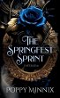 The Springfest Sprint - Bild 1