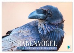Cover Rabenvögel: Schwarz, schlau, schön (Wandkalender 2026 DIN A2 quer), CALVENDO Monatskalender
