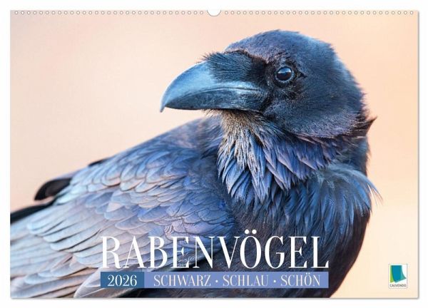 Rabenvögel: Schwarz, schlau, schön (Wandkalender 2026 DIN A2 quer), CALVENDO Monatskalender