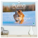 Puma: Auf leisen Pfoten (hochwertiger Premium Wandkalender 2026 DIN A2 quer), Kunstdruck in Hochglanz Puma: Auf leisen Pfoten (hochwertiger Premium Wandkalender 2026 DIN A2 quer), Kunstdruck in Hochglanz