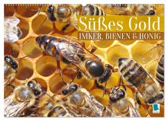 Cover Süßes Gold: Imker, Bienen & Honig (Wandkalender 2026 DIN A2 quer), CALVENDO Monatskalender