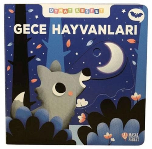 Gece Hayvanlari