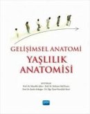 Gelisimsel Anatomi - Yaslilik Anatomisi Gelisimsel Anatomi - Yaslilik Anatomisi