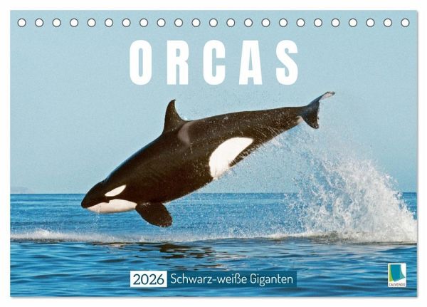 Orcas: Schwarz-weiße Giganten (Tischkalender 2026 DIN A5 quer), CALVENDO Monatskalender Orcas: Schwarz-weiße Giganten (Tischkalender 2026 DIN A5 quer), CALVENDO Monatskalender