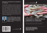 Aislamiento e identificación de probióticos en camarones