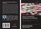 Izolacja i identyfikacja probiotyków na krewetkach Izolacja i identyfikacja probiotyków na krewetkach