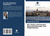 Die Türkei und Energie: Herausforderungen und Möglichkeiten