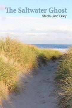 Cover The Saltwater Ghost (eBook, ePUB)