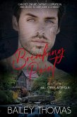 Breaking Point (Mill Creek Mystique, #3) (eBook, ePUB) Breaking Point (Mill Creek Mystique, #3) (eBook, ePUB)