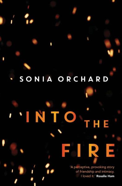 Into the Fire (eBook, ePUB)