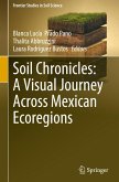 Soil Chronicles: A Visual Journey Across Mexican Ecoregions
