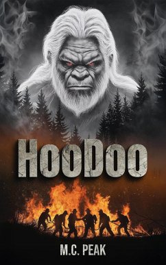 Cover HooDoo (eBook, ePUB)