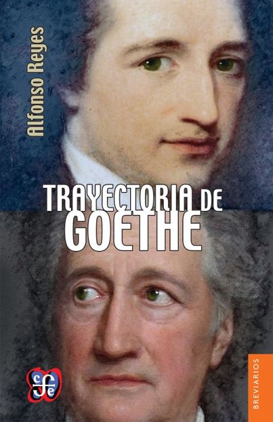 Trayectoria de Goethe (eBook, PDF)