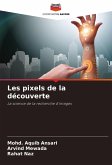 Les pixels de la découverte Les pixels de la découverte