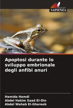 Cover Apoptosi durante lo sviluppo embrionale degli anfibi anuri