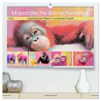 Majestätische Menschenaffen. Faszinierende Wesen in kunstvoller Öloptik (hochwertiger Premium Wandkalender 2026 DIN A2 quer), Kunstdruck in Hochglanz